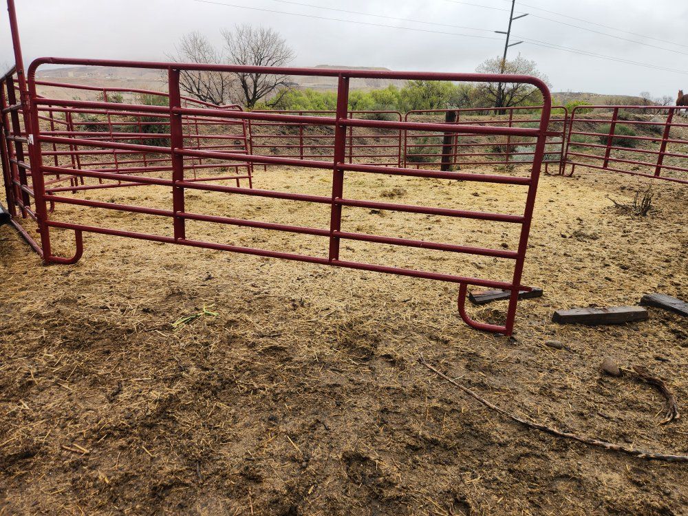 Tarter round pen horse/cattle panels