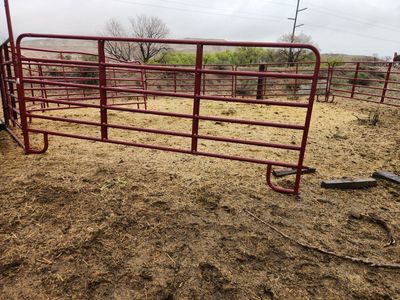 Tarter round pen horse/cattle panels