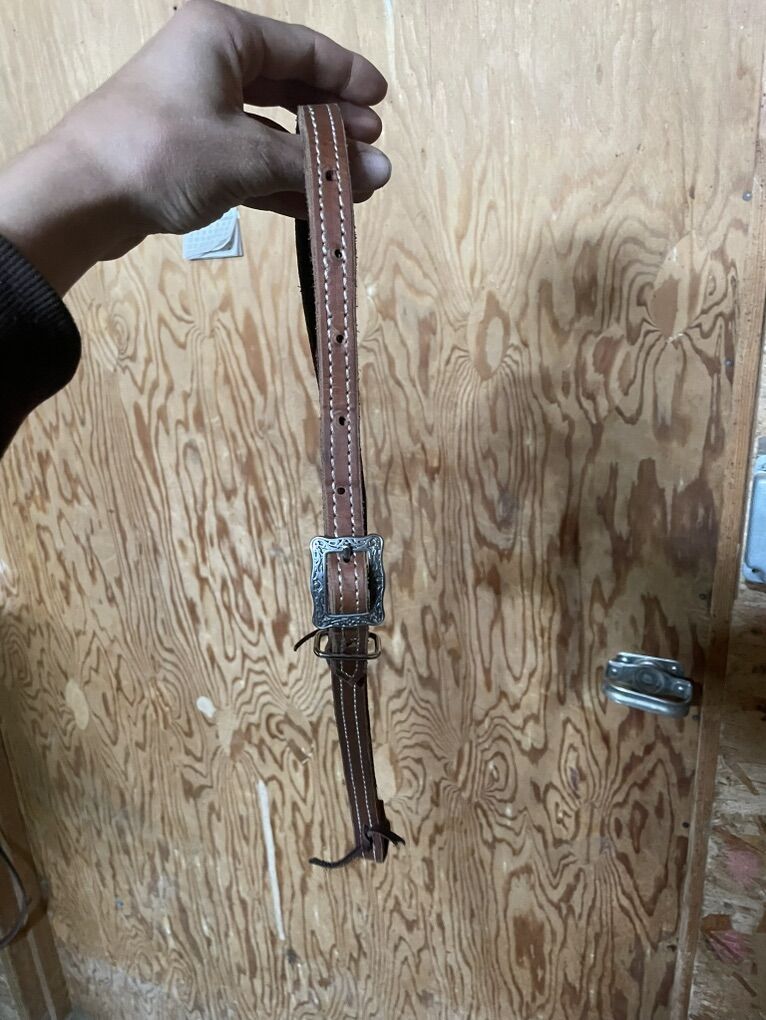 Fancy Pony Headstall