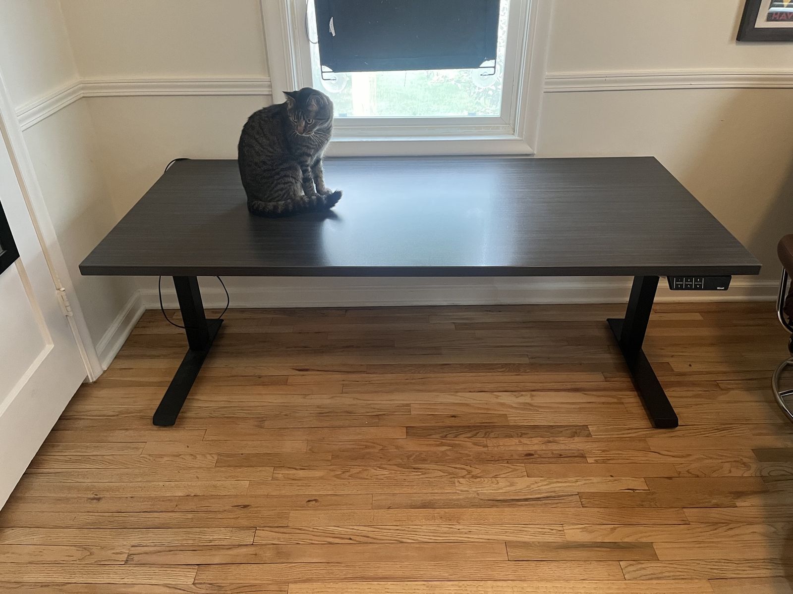 Standing Desk