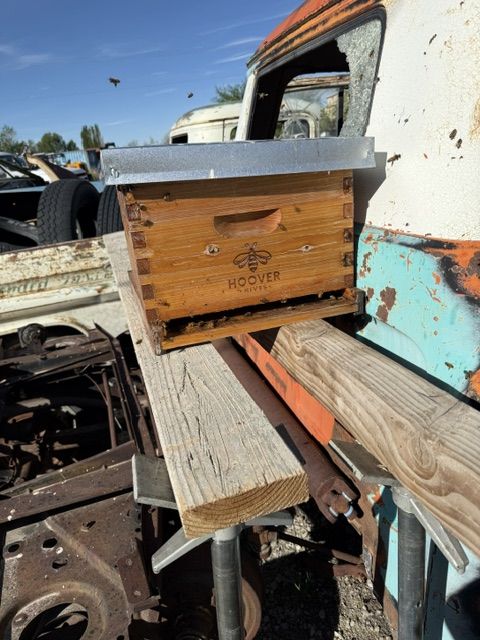 Hoover Hives Beehive & Beekeeping Equipment Starter Set - Used Hive, Suit, Frames, Tools