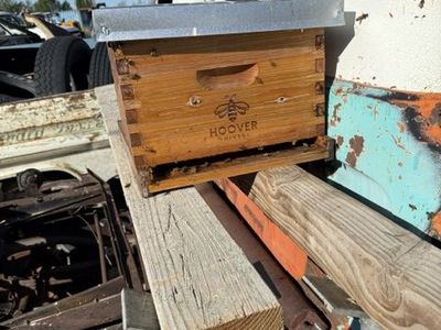 Hoover Hives Beehive & Beekeeping Equipment Starter Set - Used Hive, Suit, Frames, Tools