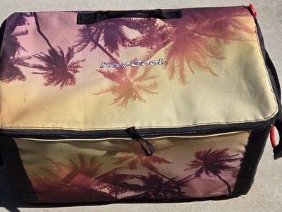 Keep cool insulated bag