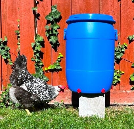 Blue Barrel Chicken Waterer with Heater Option