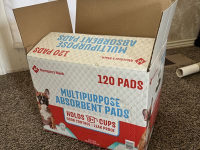 Member's Mark Multipurpose Absorbent Puppy Training Pads 23" x 24" Box