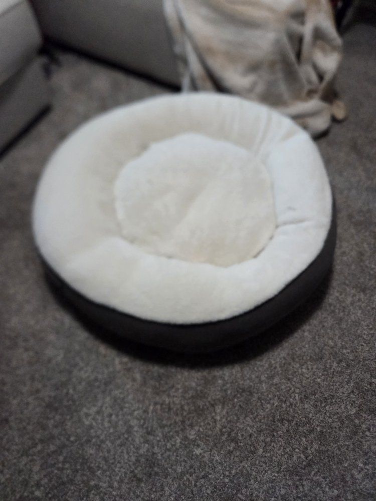 Kirkland Signature Round Plush Dog Bed with Removable Cushion and Blanket