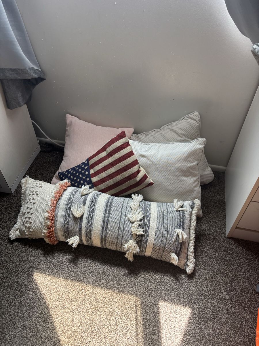 Five throw pillows for $5