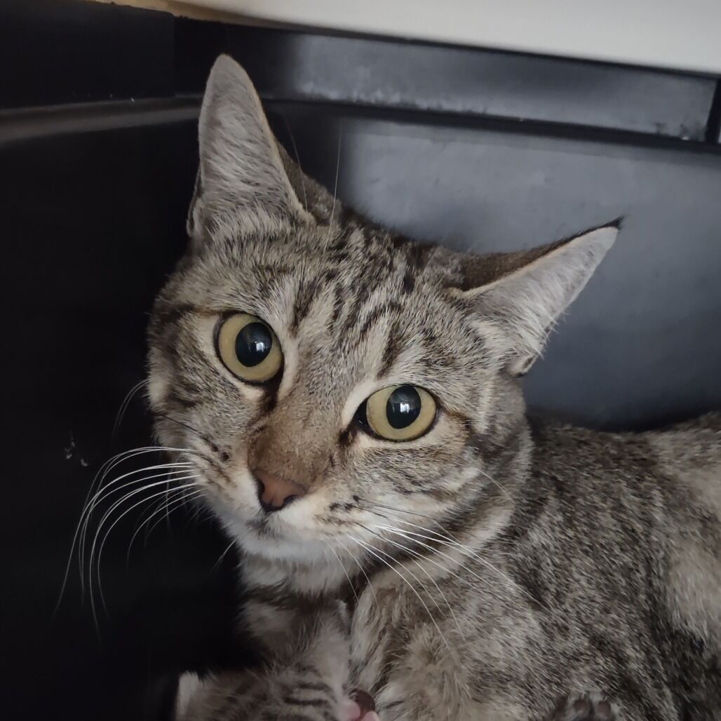 Hello my name is Bertha