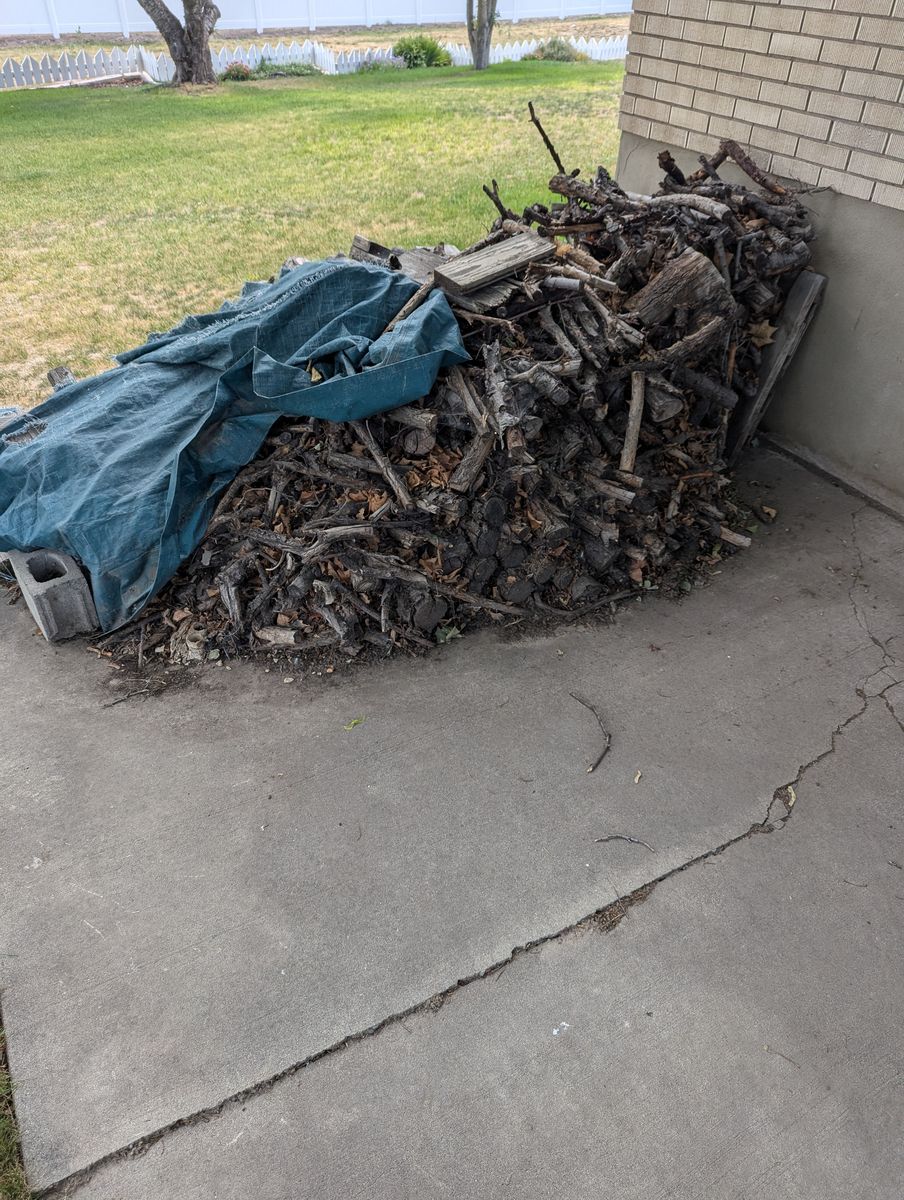 Free Firewood. You haul away.