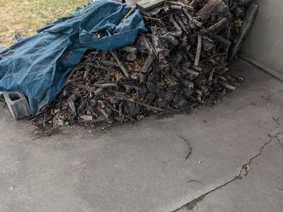 Free Firewood. You haul away.