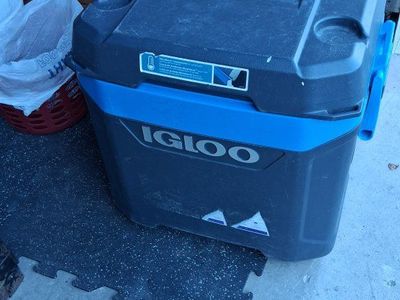 Igloo Cooler, MaxCold Series, Blue/Black, Great for Camping, Picnics, or Beach Days