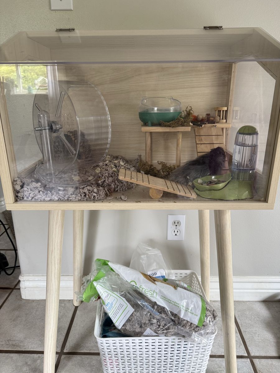 Syrian/Teddy Bear Hamster with Cage andAccessories