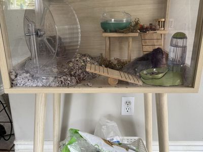 Syrian/Teddy Bear Hamster with Cage andAccessories