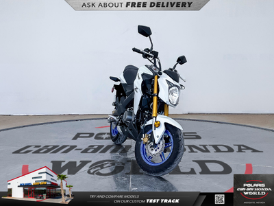 2026 Kawasaki Z125 PRO