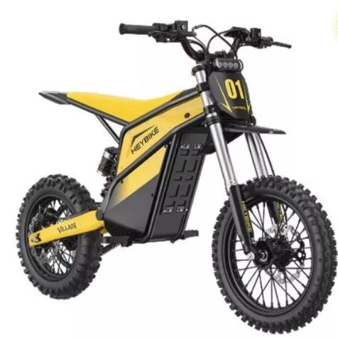 70 eBikes for Public auction!  April 30th!