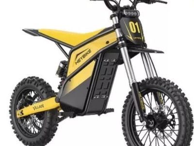 70 eBikes for Public auction! April 30th!