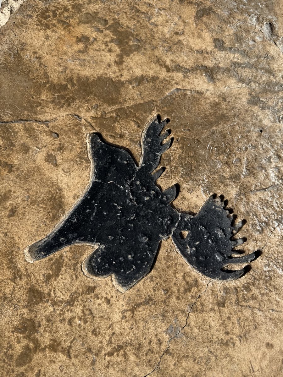 Main image 4