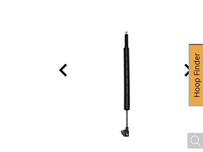 Spalding Gas Strut Assembly