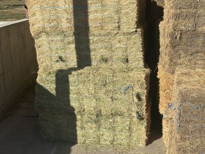 alfalfa/grass small bales!