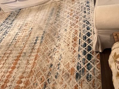 Living Room rug