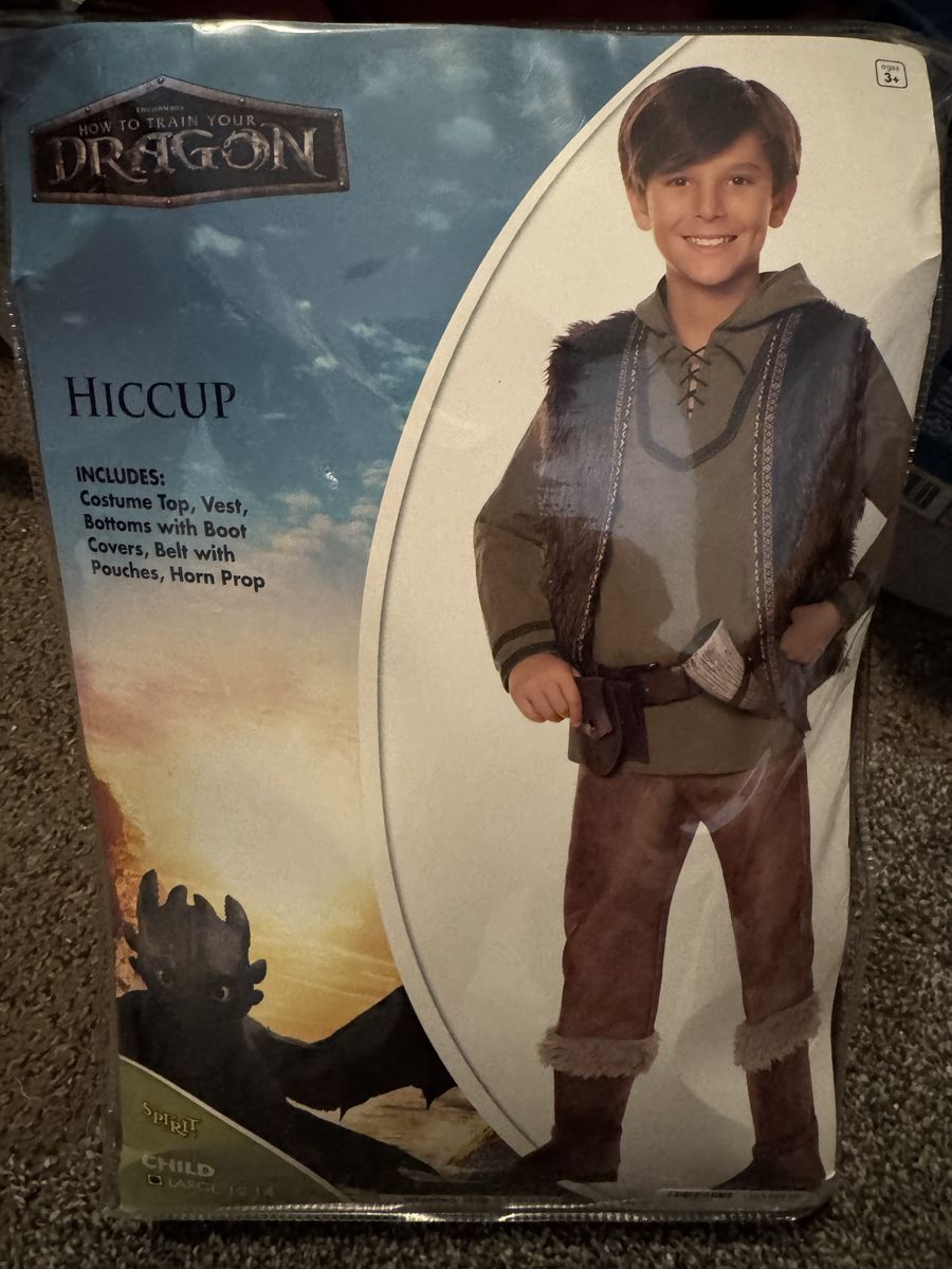 Hiccup (How To Train Your Dragon)