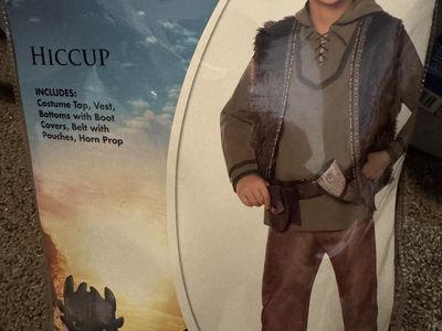 Hiccup (How To Train Your Dragon)