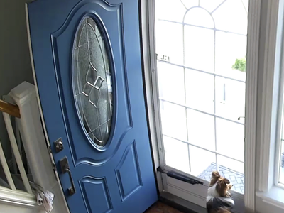 Front door with glass!