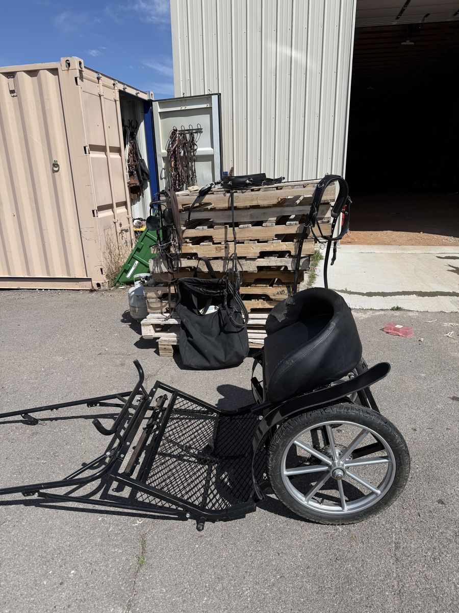 Pony Cart And Harness