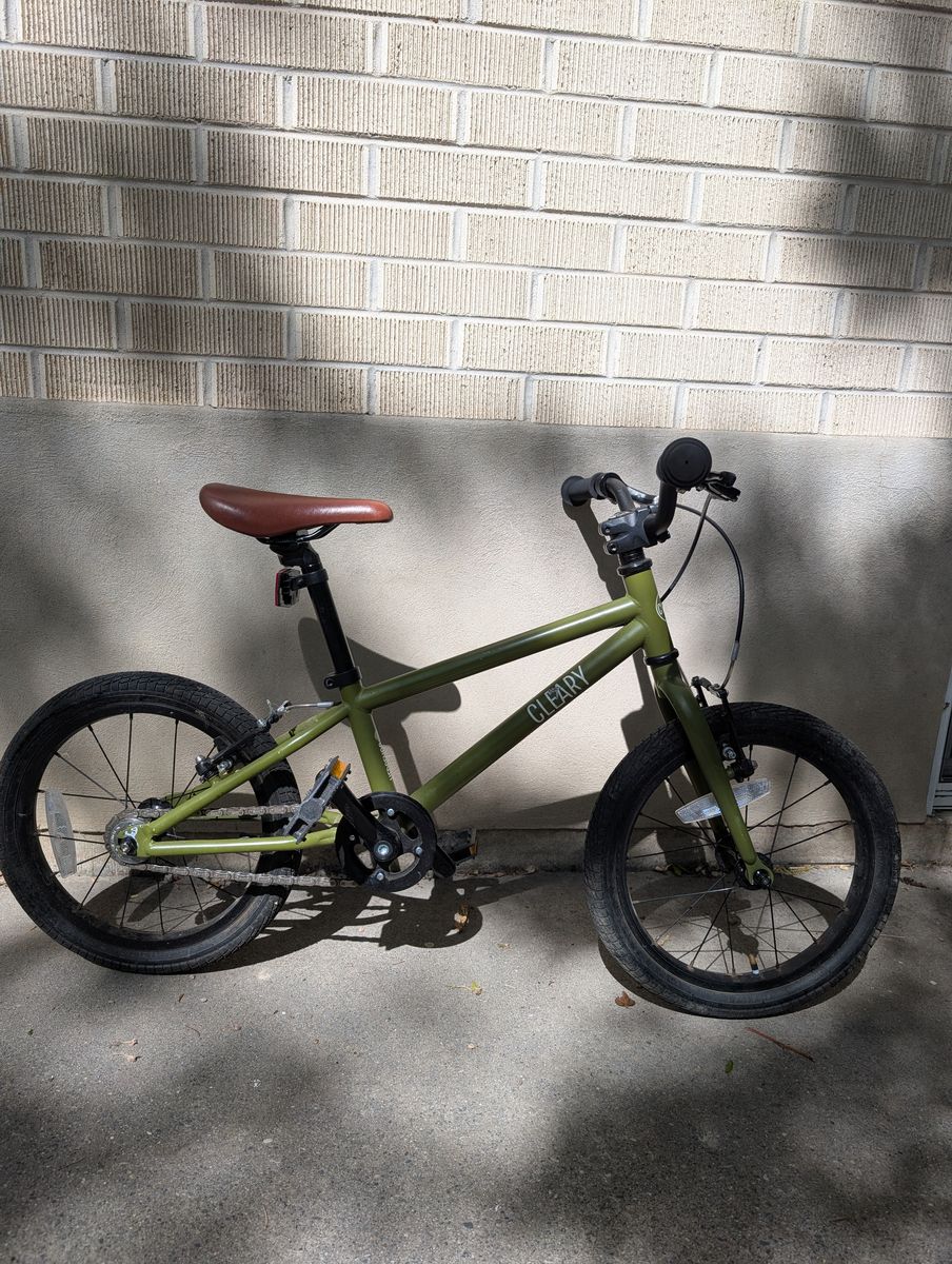 Cleary Hedgehog 16" single-speed bike