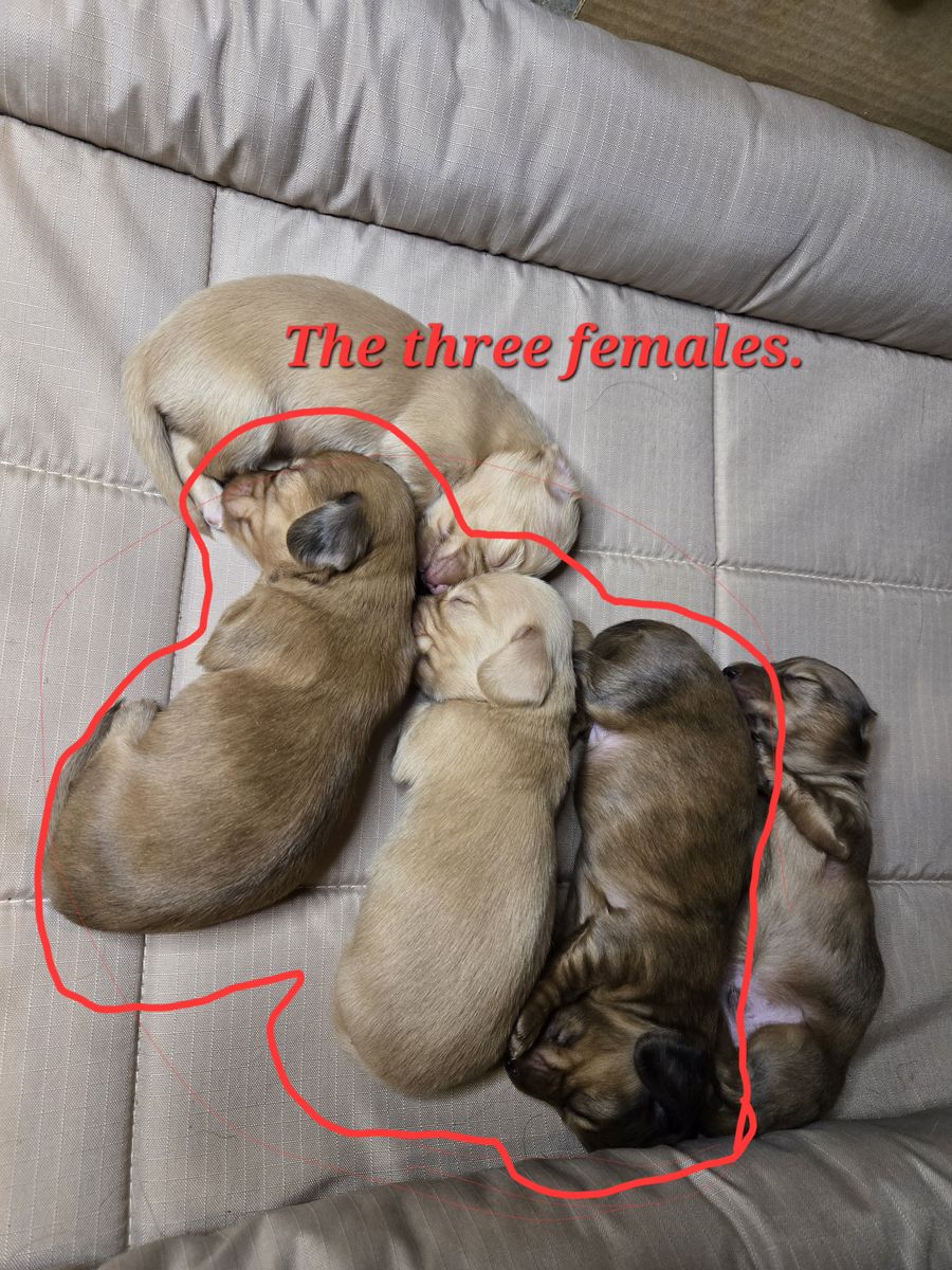 Main image 2