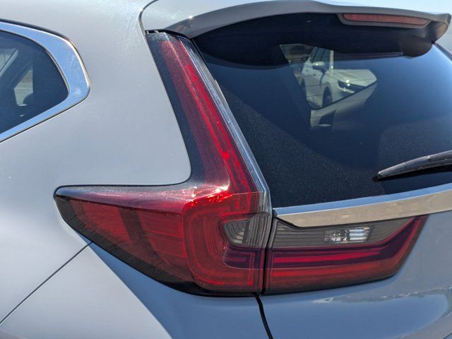 Main image 11
