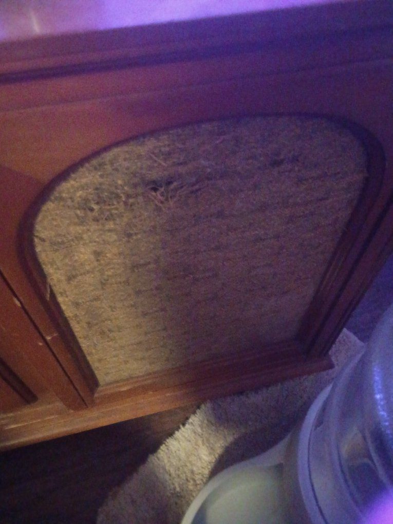 Main image 4