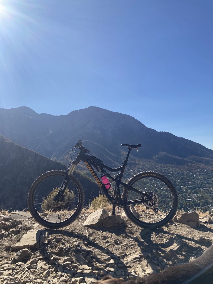 Santa Cruz Bronson CC