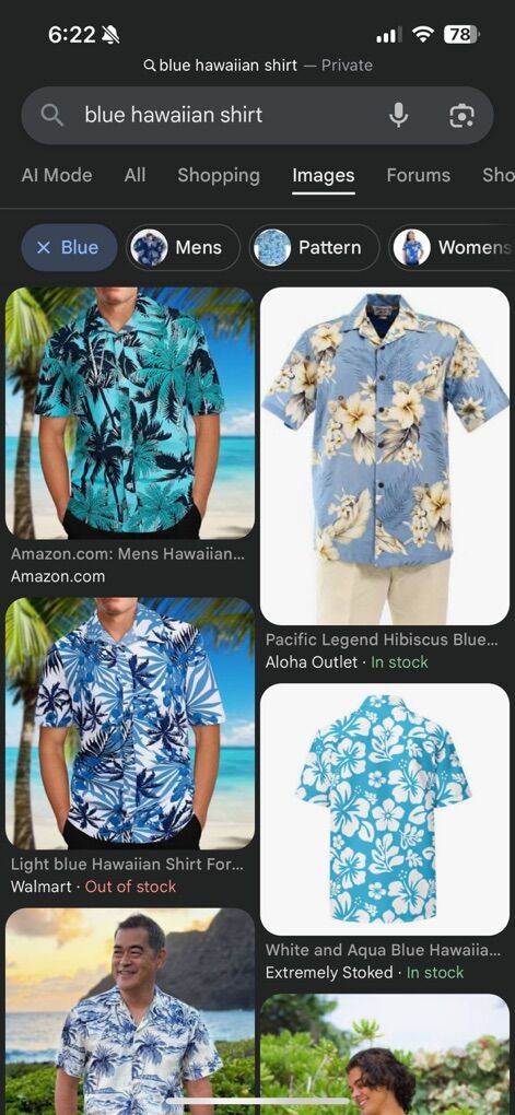 ISO In Search Of Hawaiian Shirt Mens L Or XL Trade