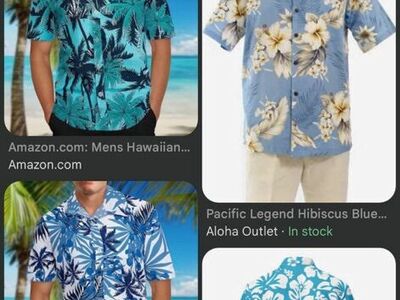 ISO In Search Of Hawaiian Shirt Mens L Or XL Trade