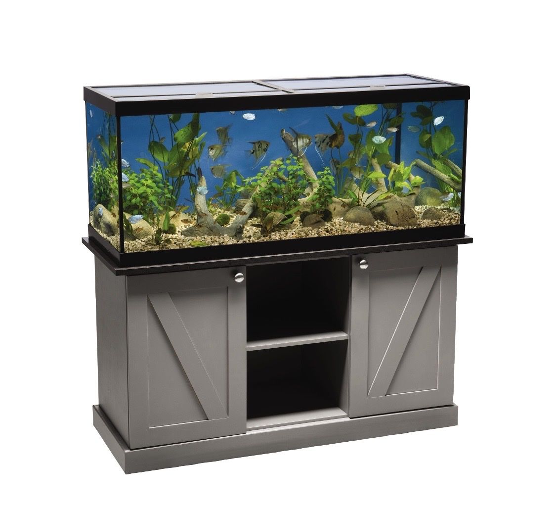 75 Gallon Aquarium