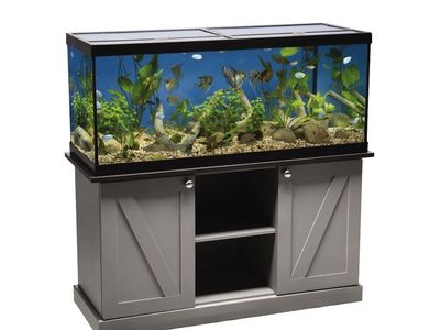 75 Gallon Aquarium