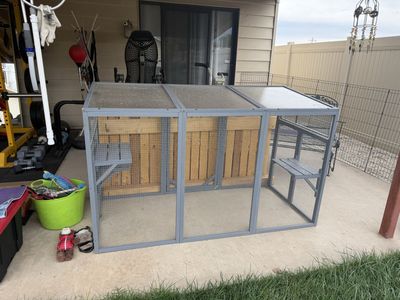 Catio