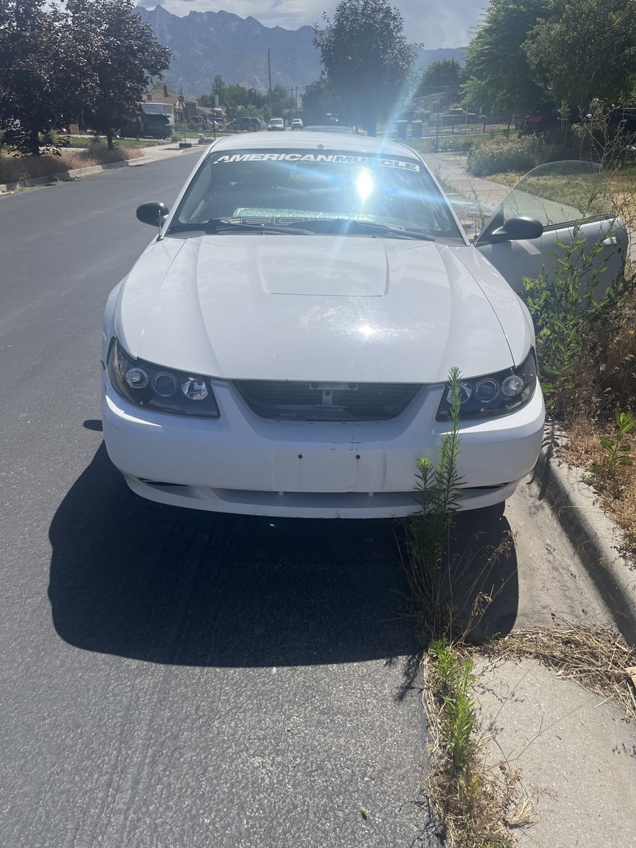 2003 Ford Mustang 