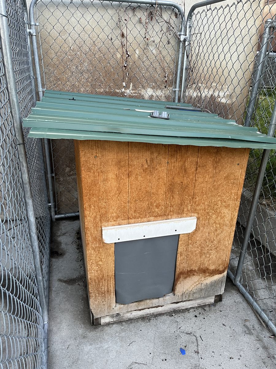 Doghouse
