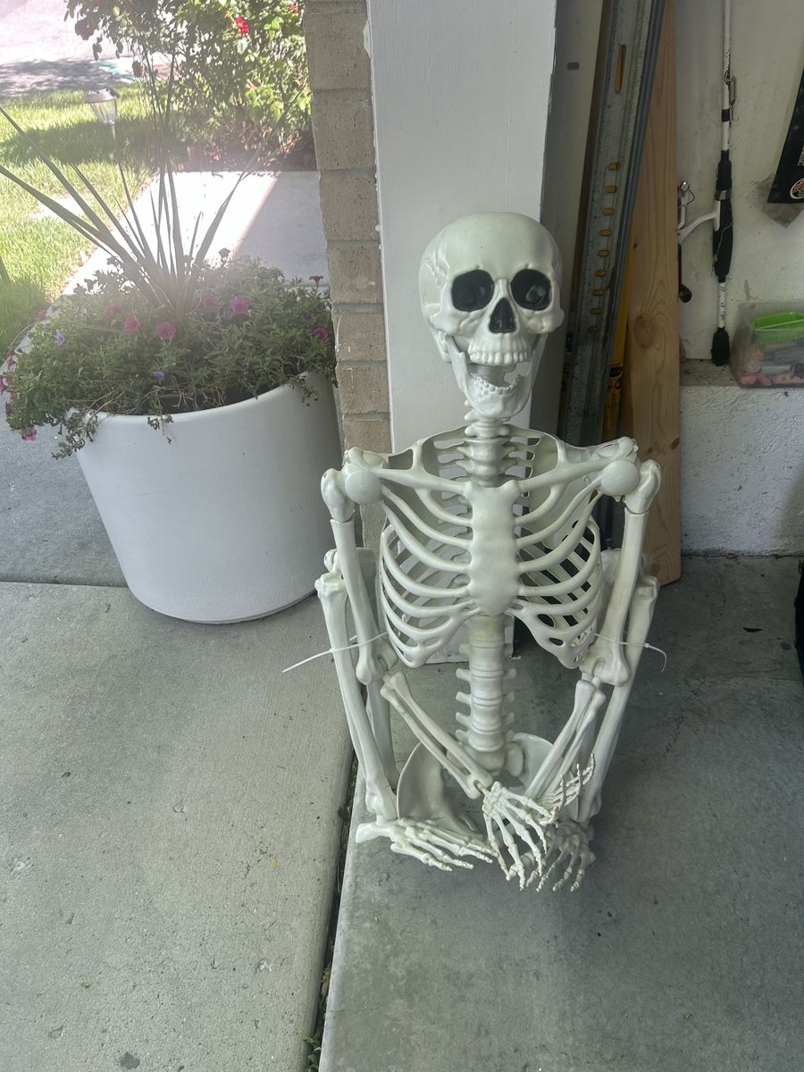 Halloween skeleton