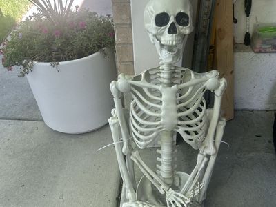 Halloween skeleton