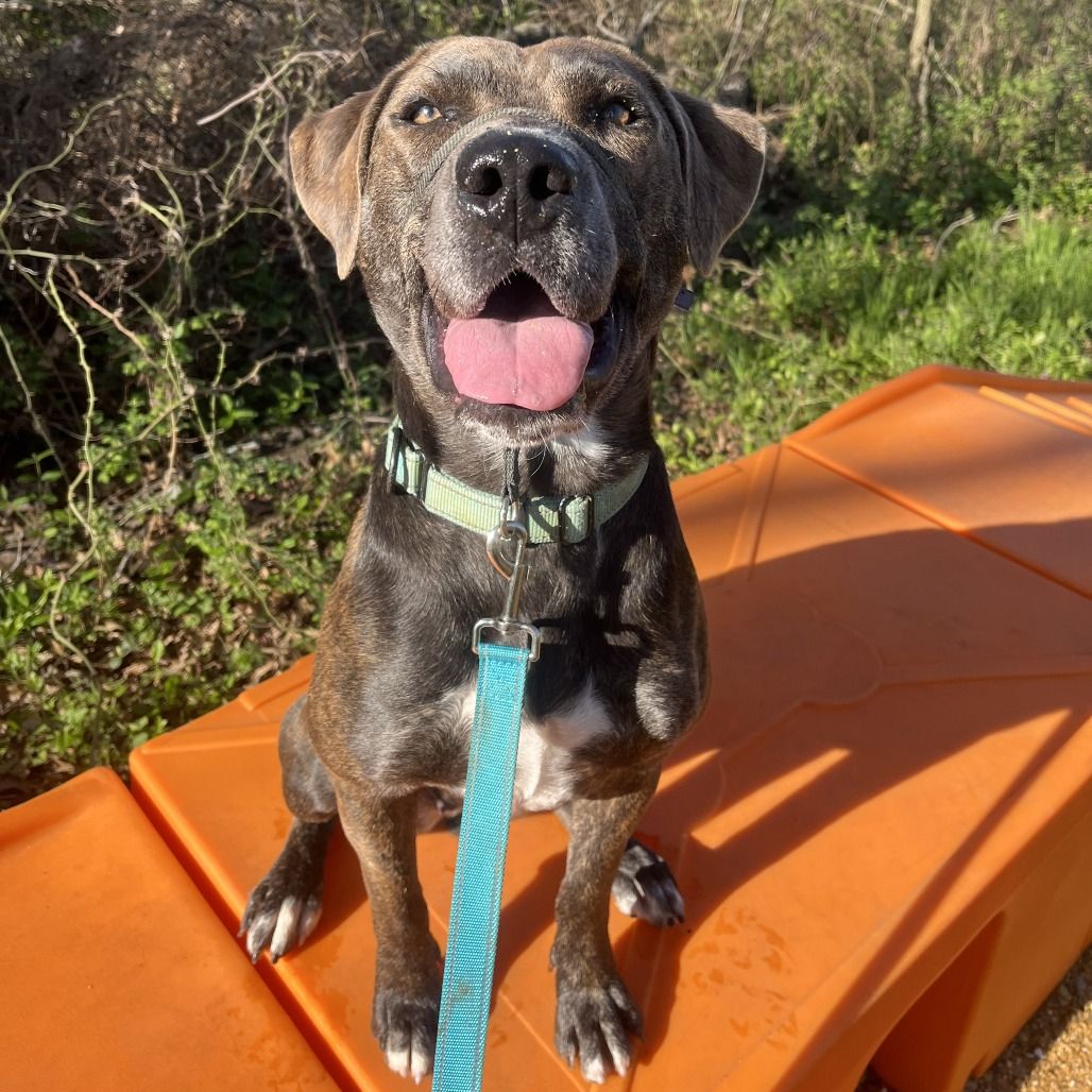 Hello my name is Tatiana