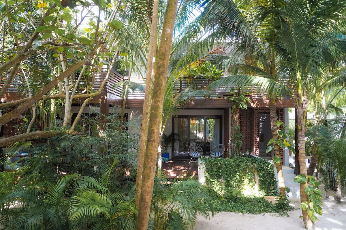 Main image 18