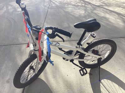 Royal Baby Freestyle 16” kids bike