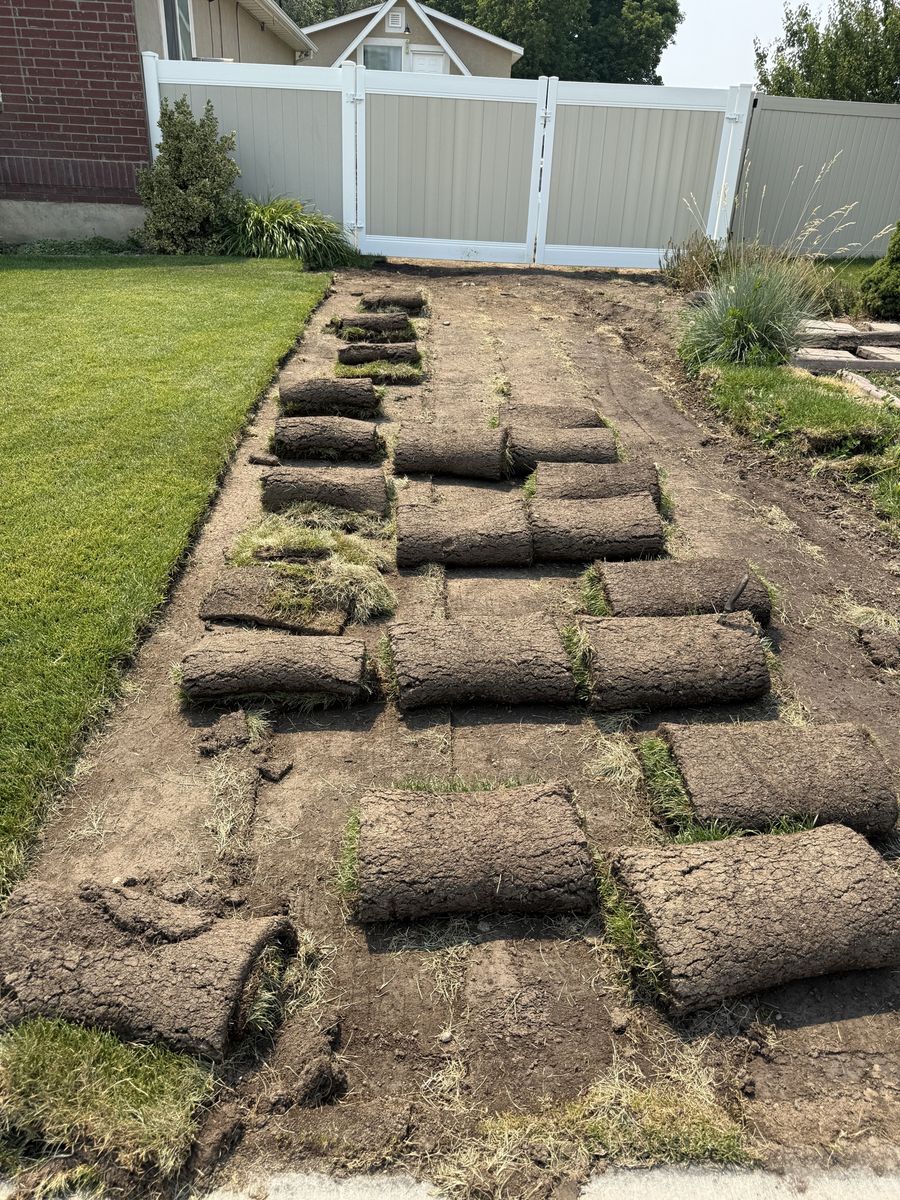 Fresh Sod Rolls for free