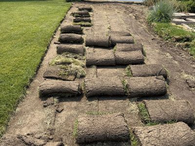 Fresh Sod Rolls for free