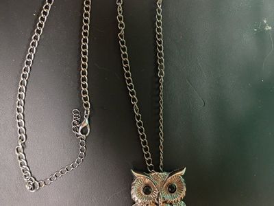 Owl Pendant Necklace Silver Tone Black Eyes Long Chain Statement Jewelry