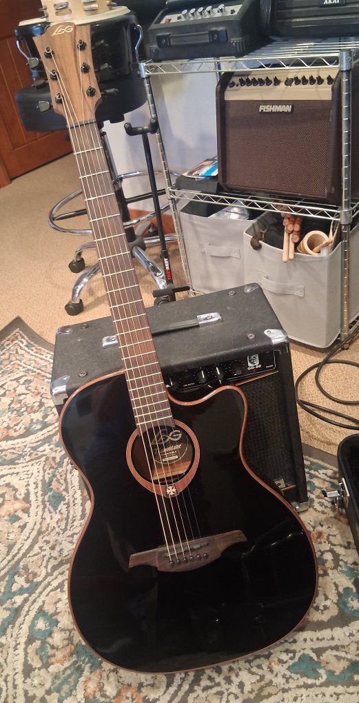 Acoustic /Electric Guitar