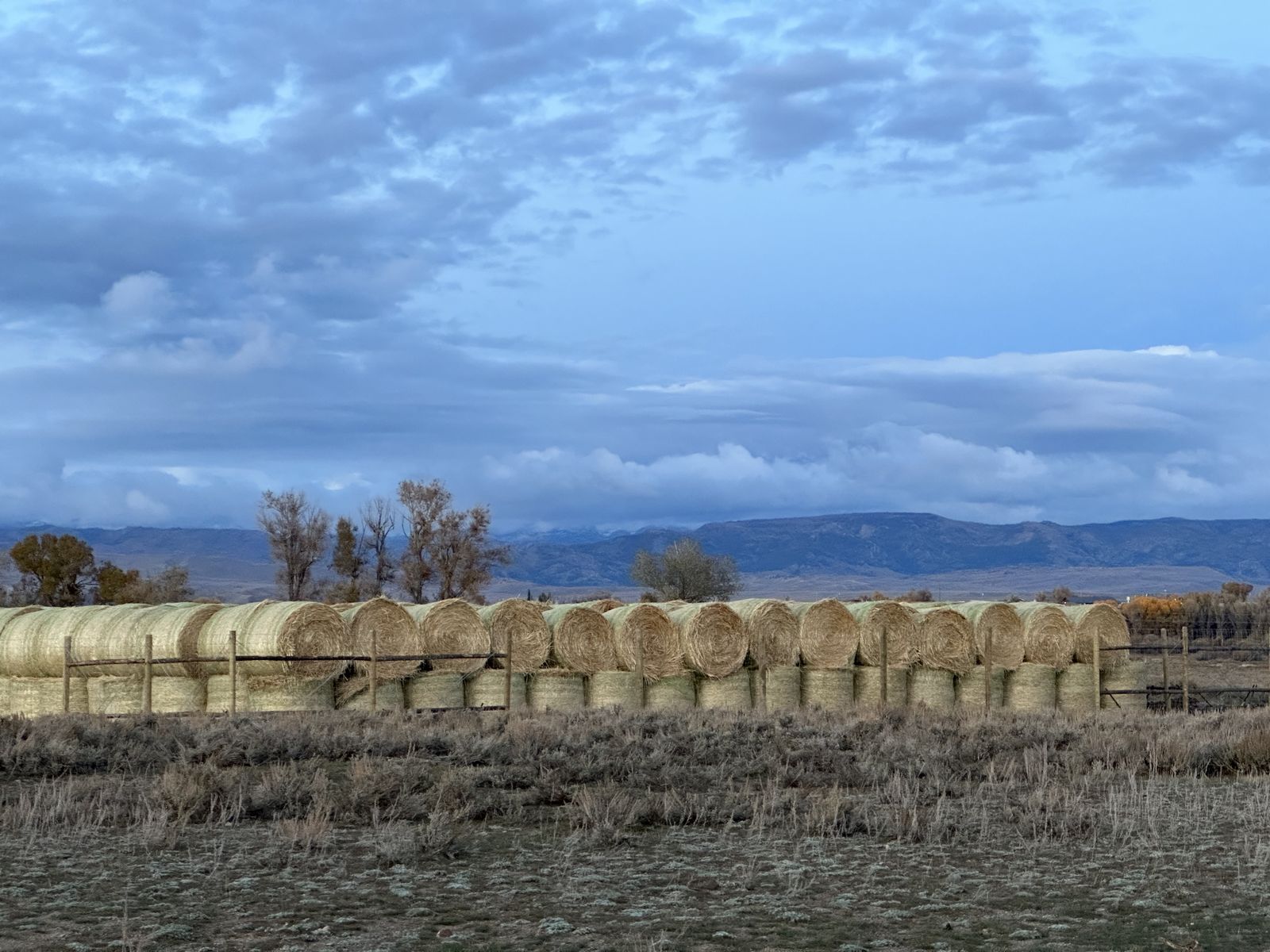 2025 Grass Hay 200/ton